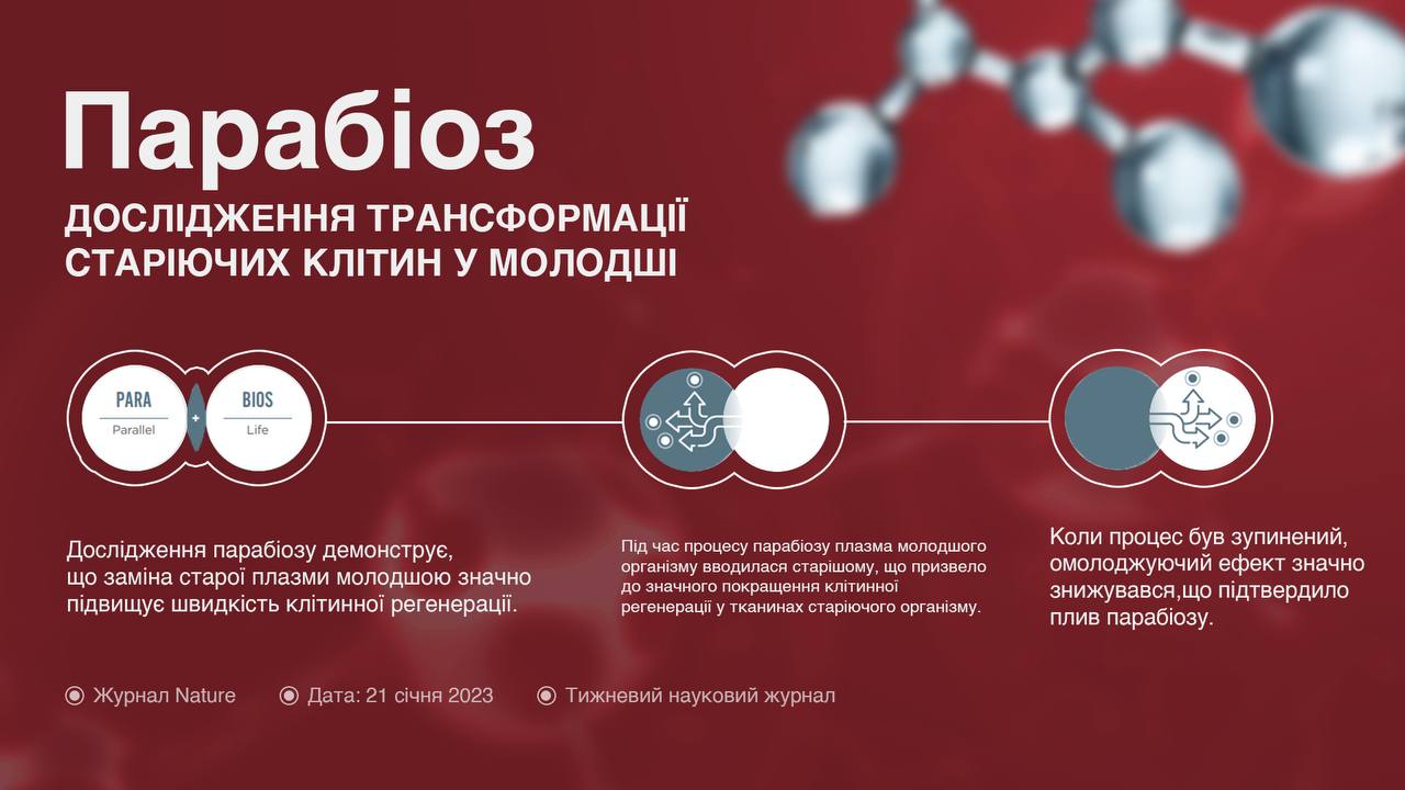 Операційна система молодості: Як клітини оновлюють своє “програмне забезпечення”